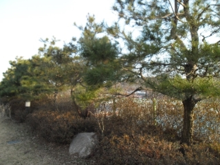 성석삼거리(고봉로) 이미지