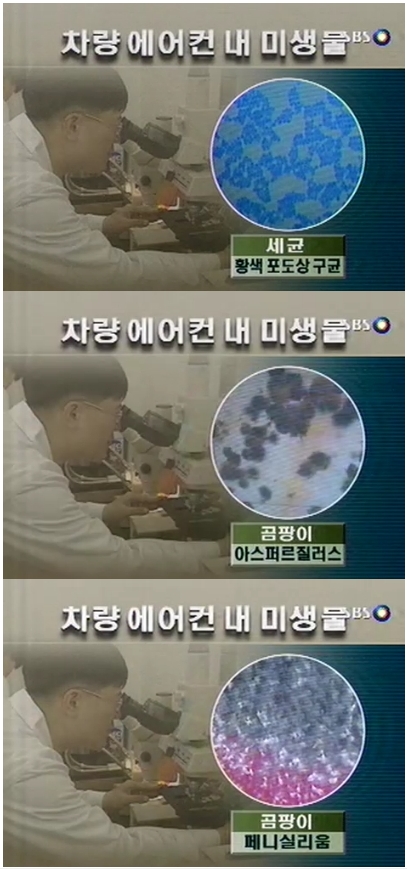신화클리닝 이미지