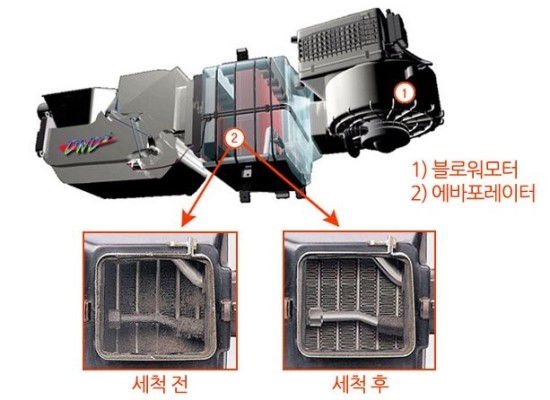 신화클리닝 이미지