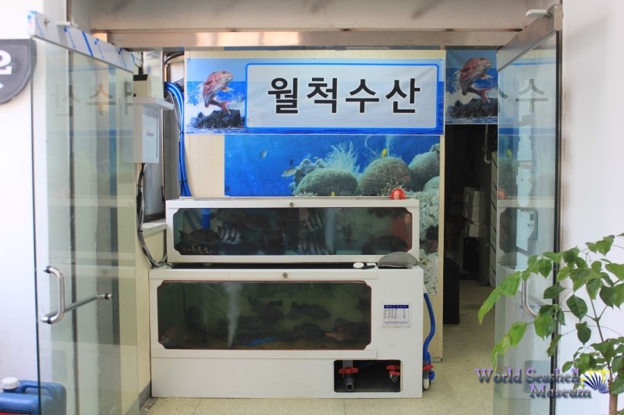 정이수산 이미지