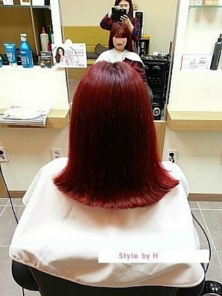 스타일바이에이치 이미지