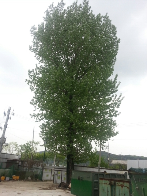 (주)청조 이미지