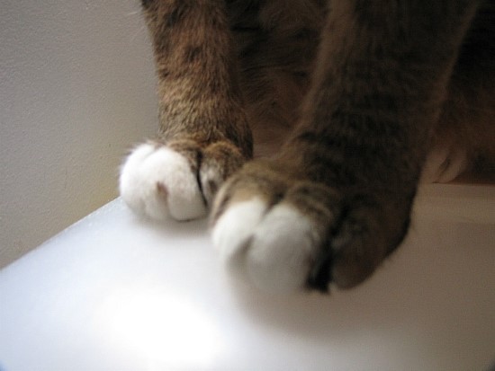 호이발관 이미지