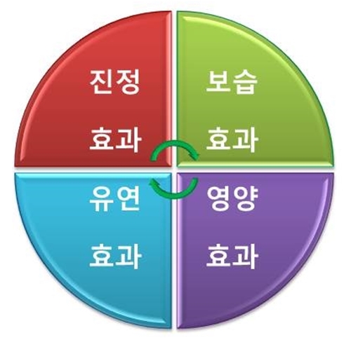 임브레이스 이미지