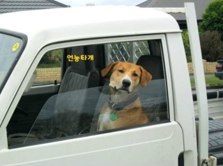 할매횟집 이미지
