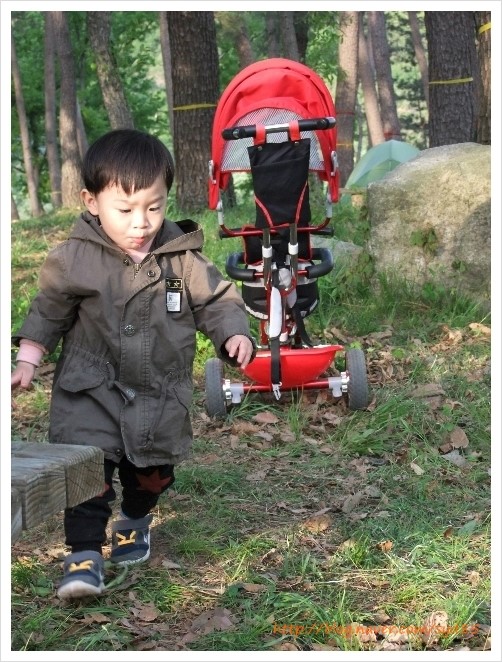 삼식육계 이미지
