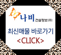 나비건설정보주 이미지
