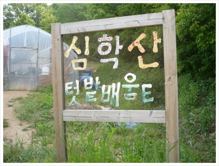 나무간판솔솔 이미지