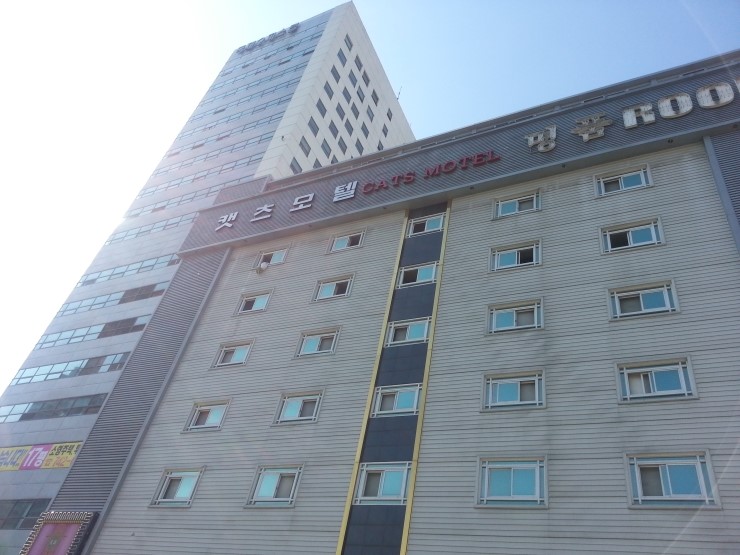 캣츠모텔 이미지