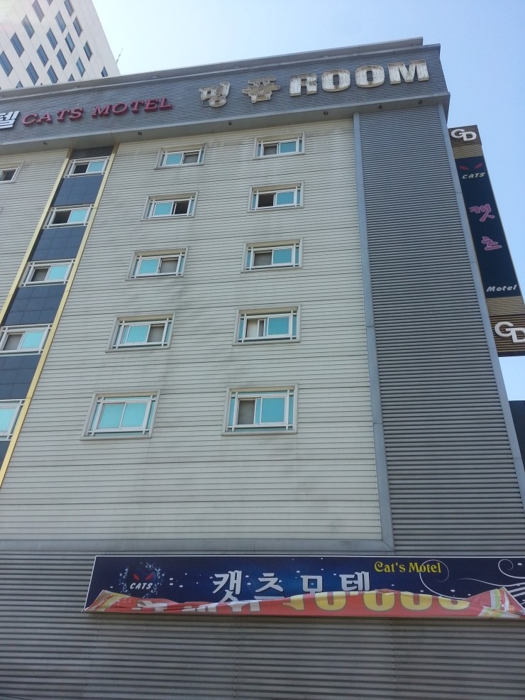 캣츠모텔 이미지