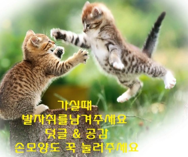 참좋은한우식육식당 이미지