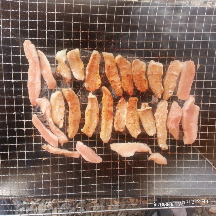 파주캠핑장 이미지