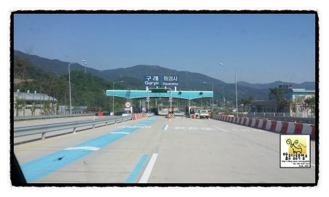구례흑염소 이미지