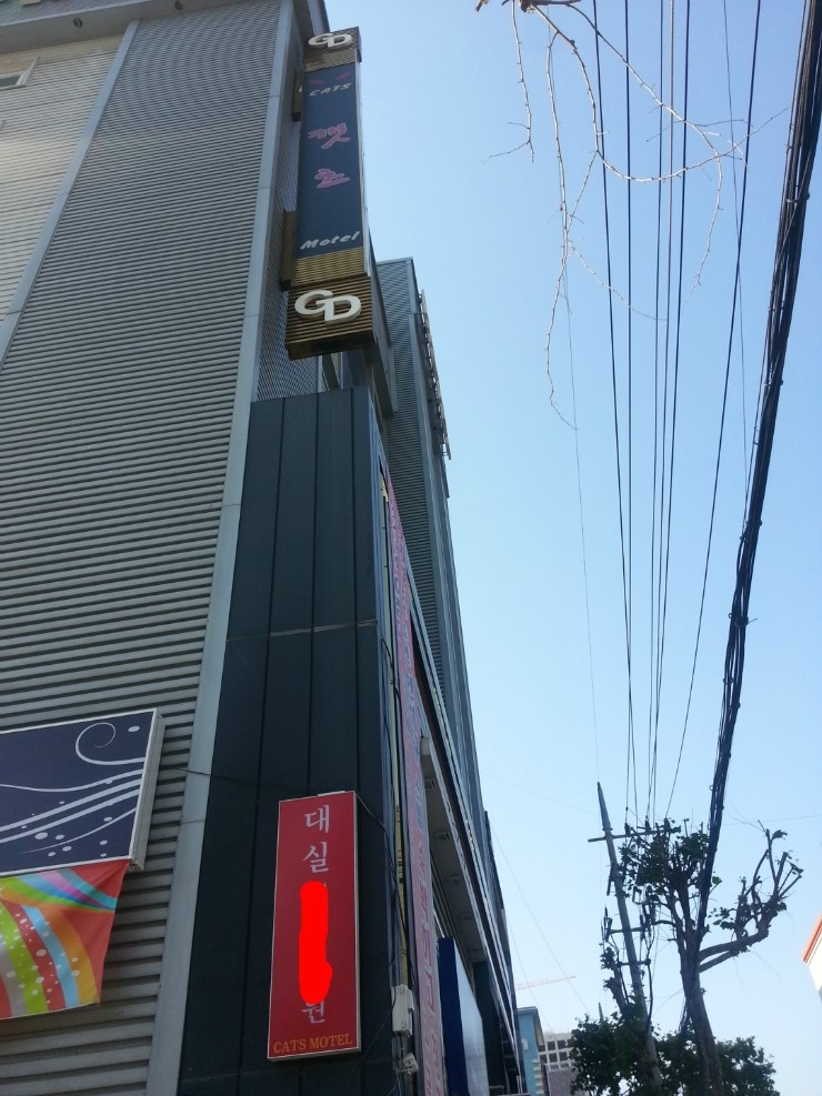 캣츠모텔 이미지