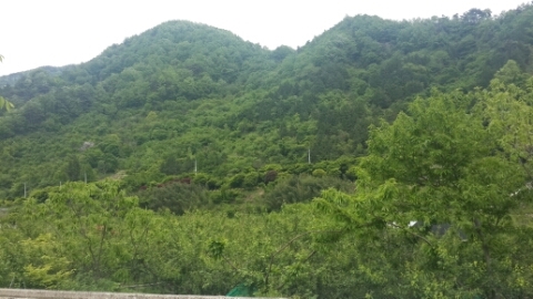 피아골 한옥 펜션 이미지