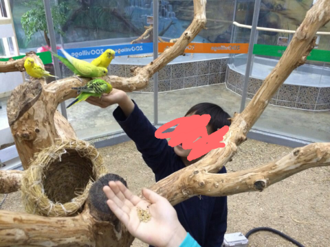 피노키오키즈카페 이미지
