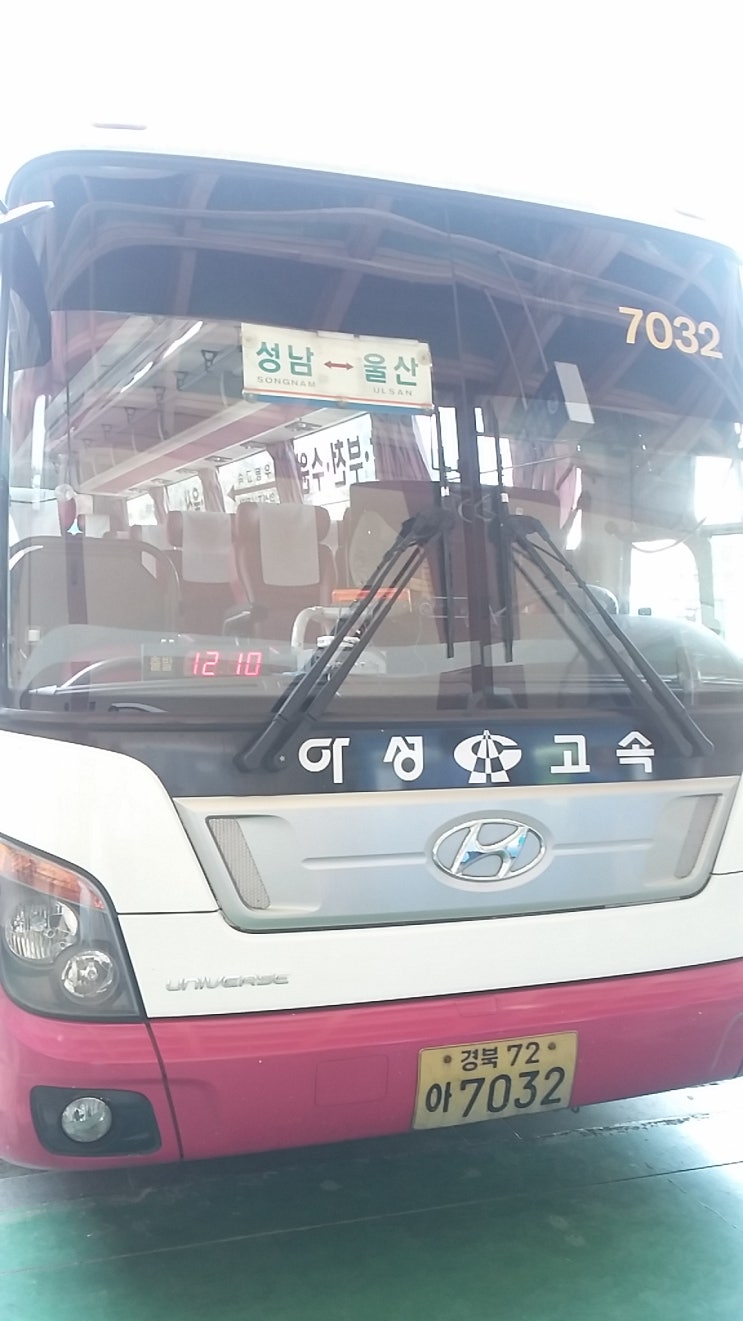 성남아성 이미지
