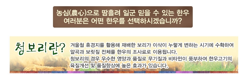 정일품한우 이미지