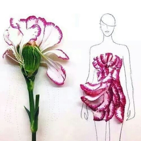 꽃잎패션 이미지