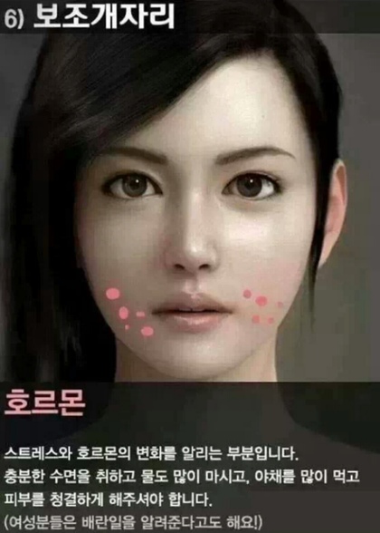 아비쥬 이미지