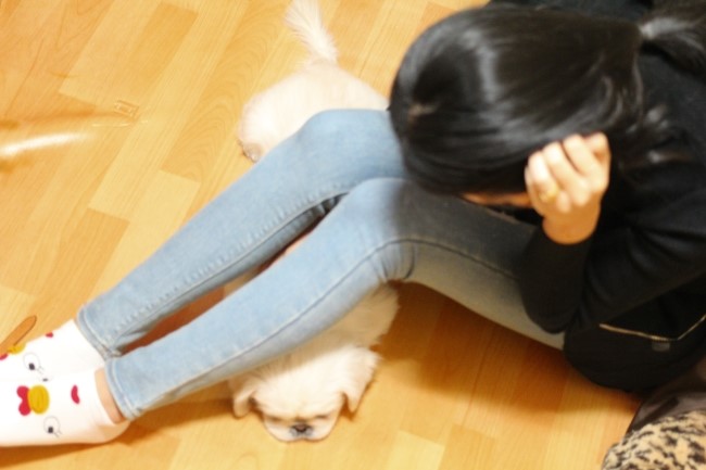 페스코 이미지