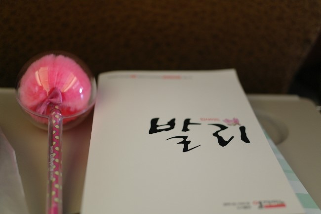 우리들항공여행사 이미지