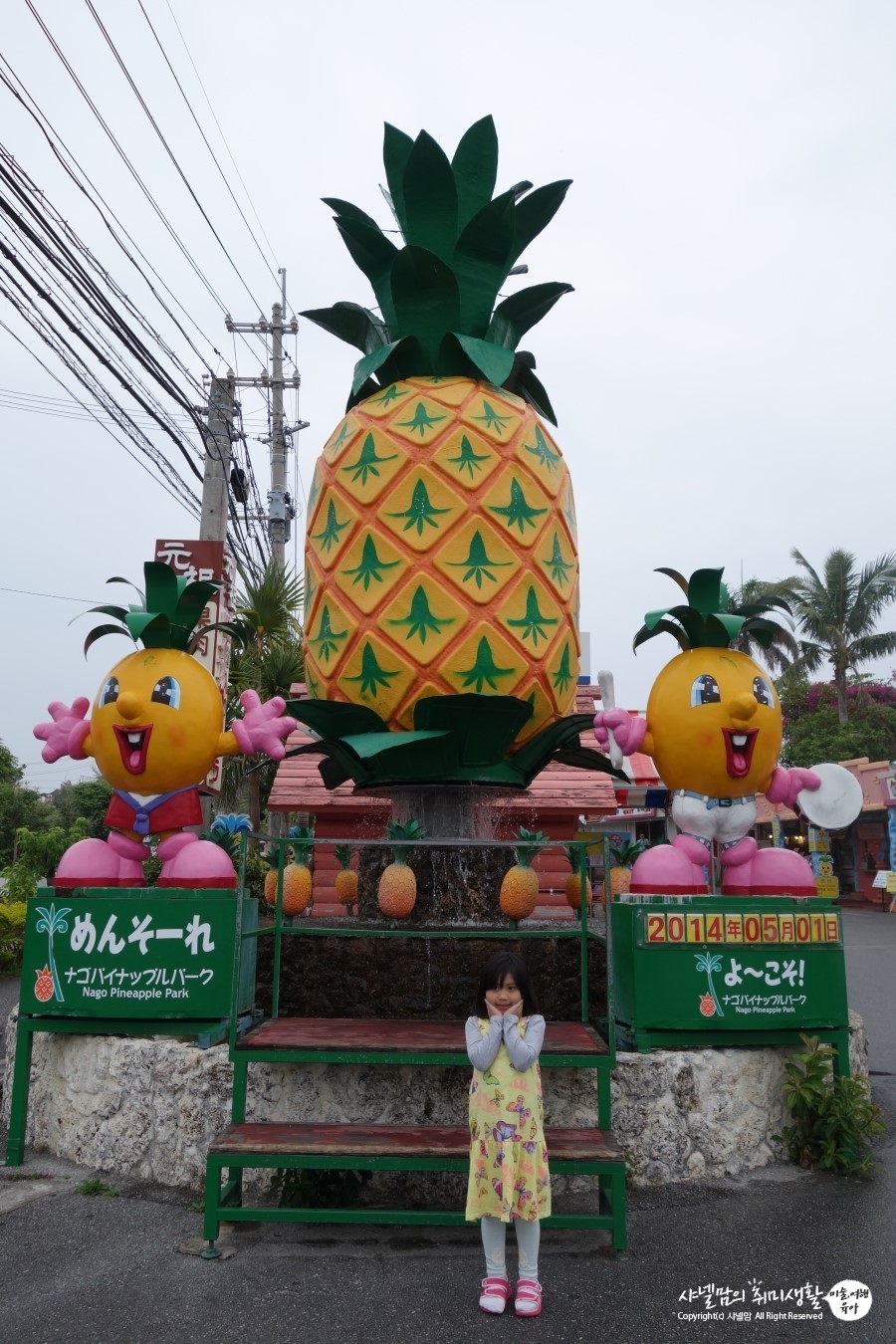 다은관광 이미지
