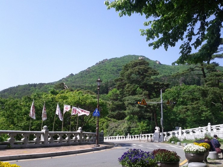 대문오리집 이미지