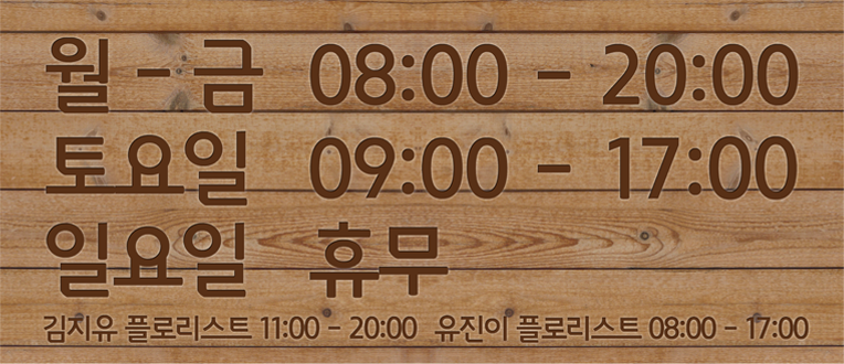 카페다원 이미지