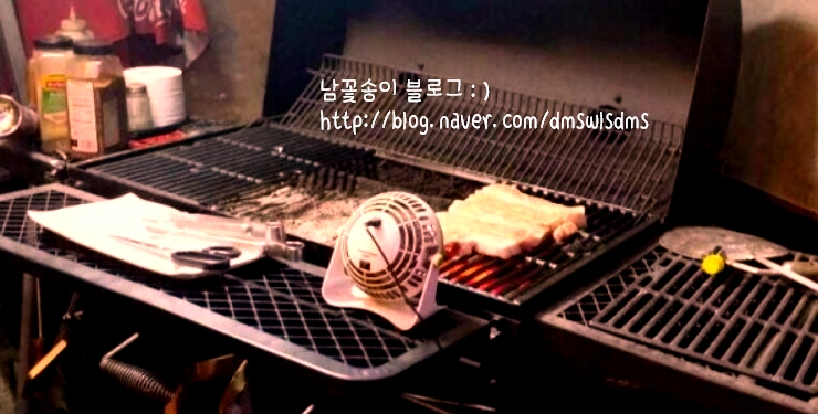 위버 (WEBER) 이미지