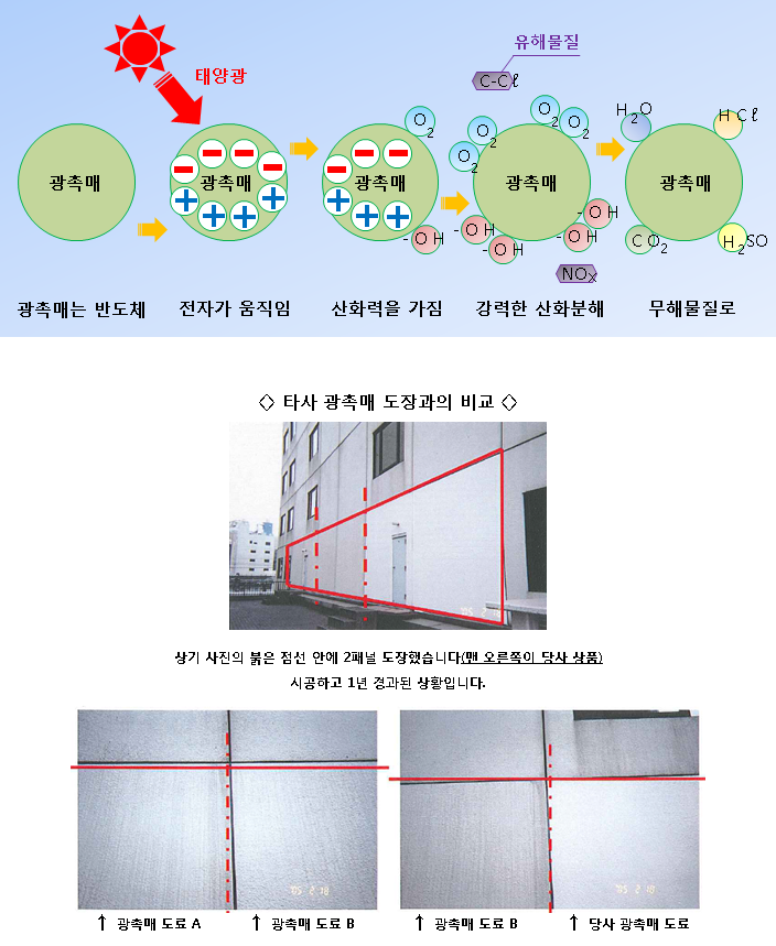 에코크리닝 이미지