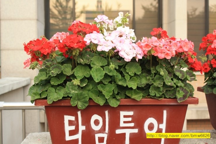 목원대학교 학생회관 식당 이미지