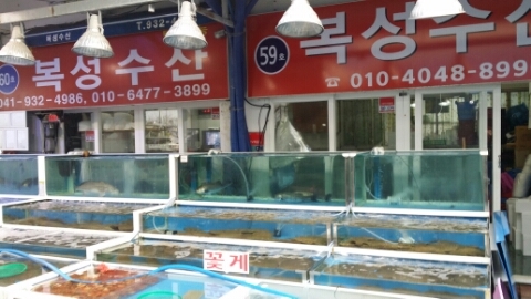 복성수산 이미지