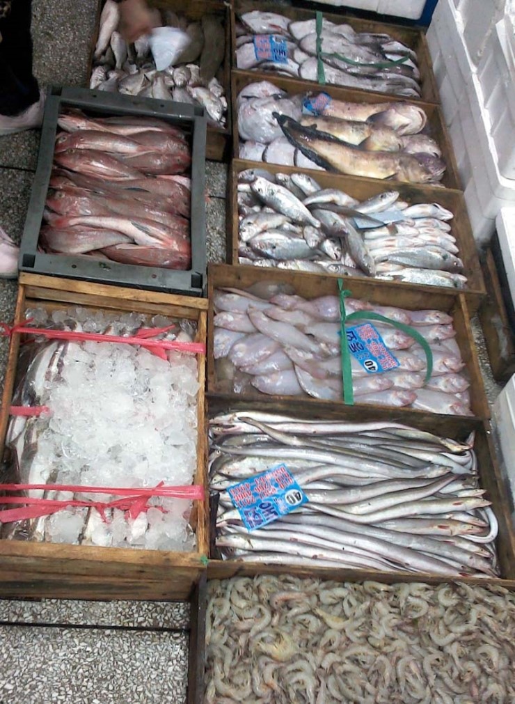 동화수산 이미지