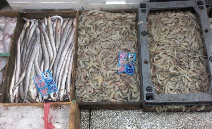 동화수산 이미지