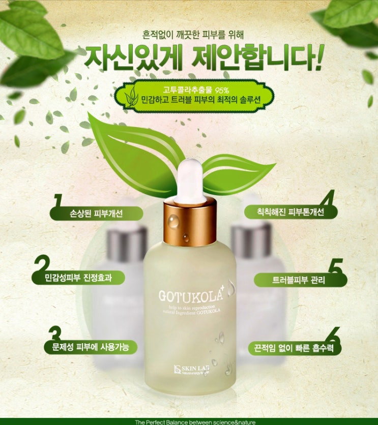 고투콜라 이미지
