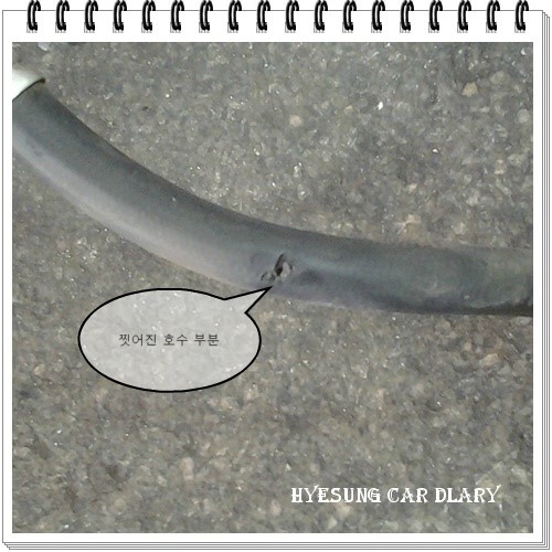 삼중카센타 이미지