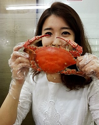 꽃게사냥 이미지