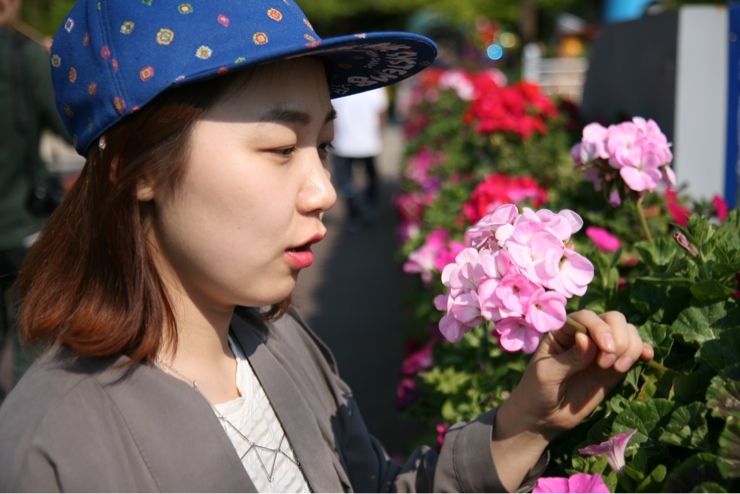 동산플라워 이미지