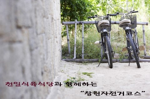 천일자전거 이미지