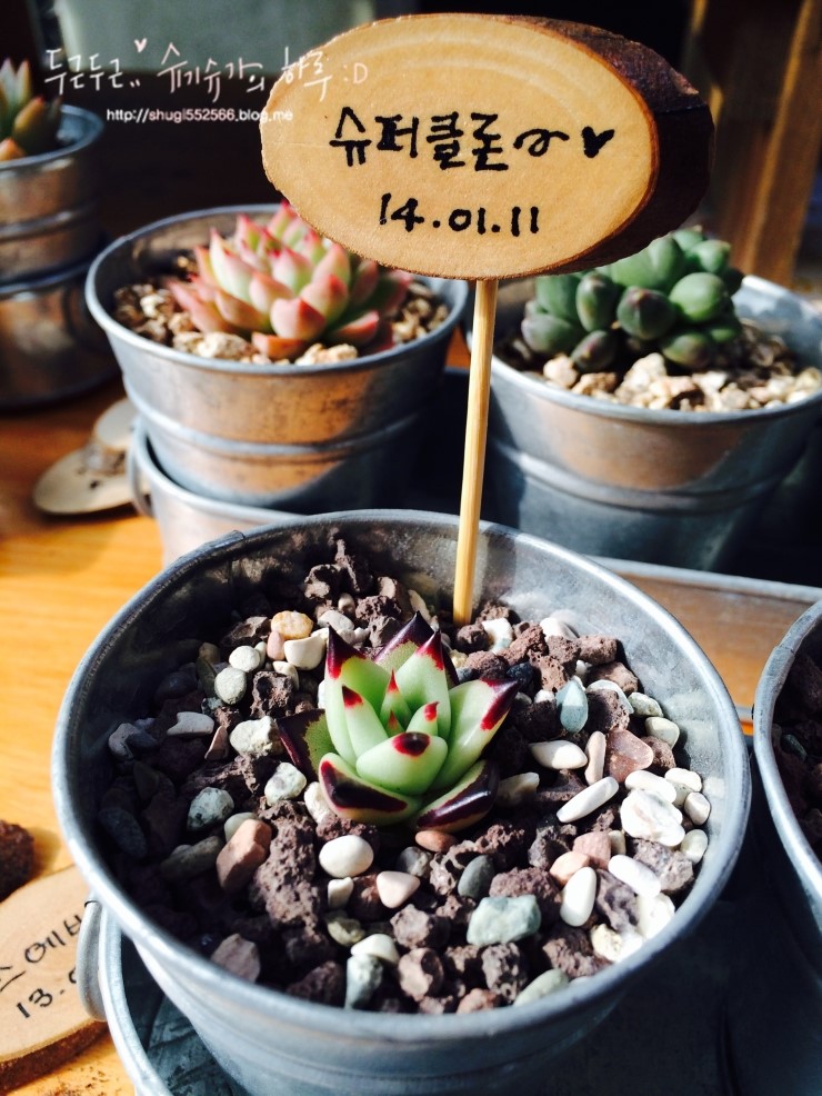 동운슈퍼 이미지