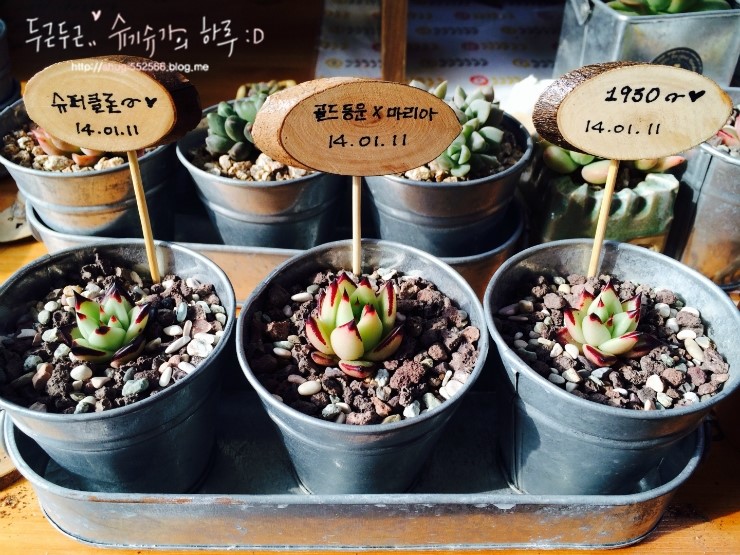 동운슈퍼 이미지