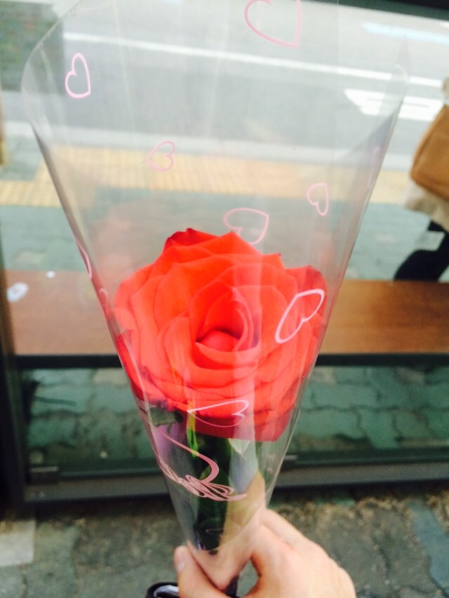 코펜호프 이미지
