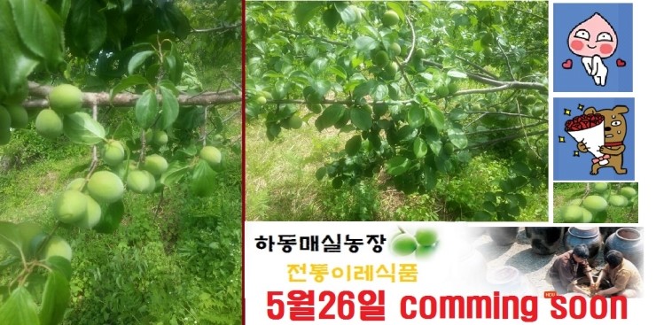 이레식품 이미지