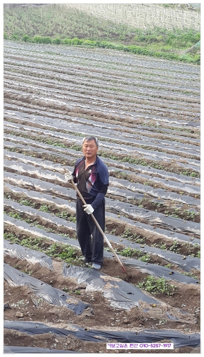 노고지리팬션 이미지