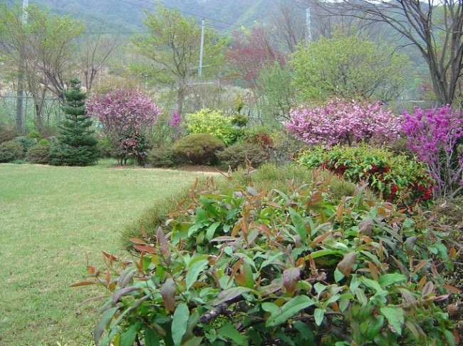 유곡농원 이미지