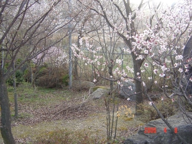 유곡농원 이미지