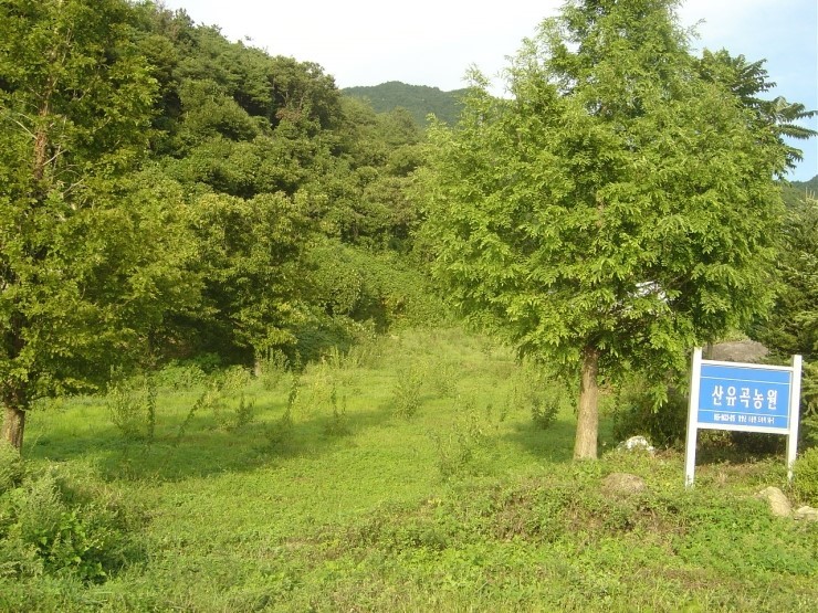 유곡농원 이미지
