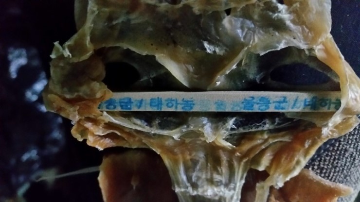 건어물독도사랑 이미지