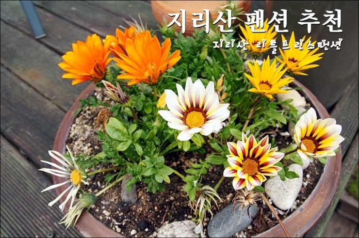 지리산리틀프린스펜션 이미지